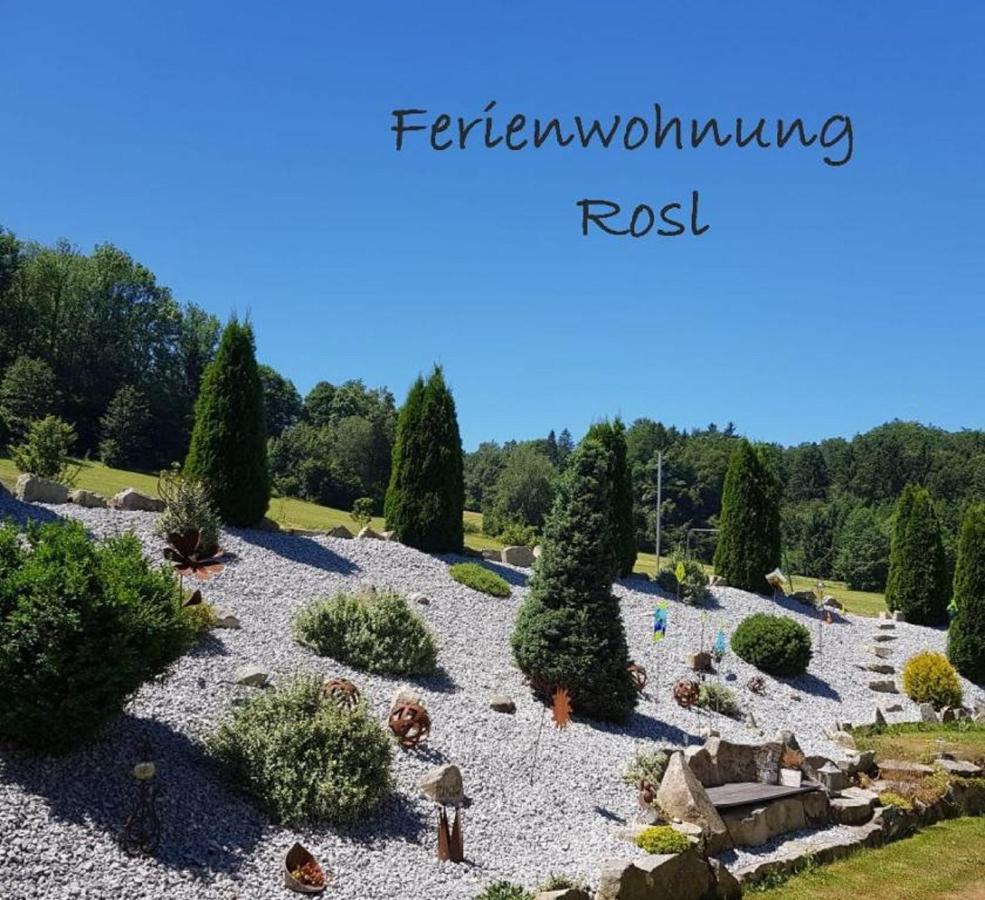 Ferienwohnung Rosl วัลด์เคอร์เชิน ภายนอก รูปภาพ